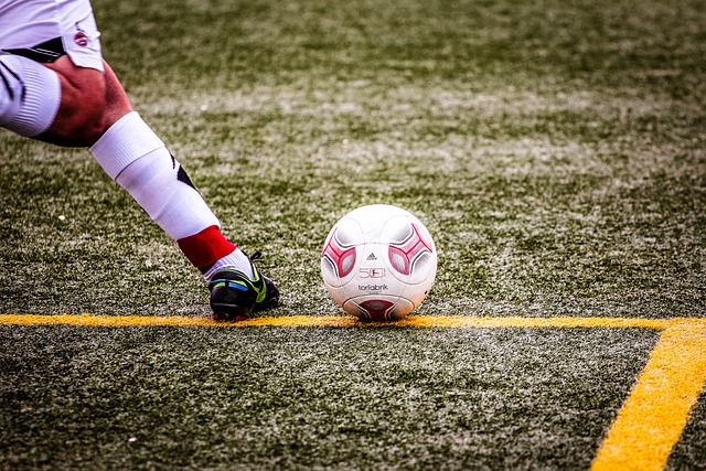 然鲜少能挑 然鲜少能挑