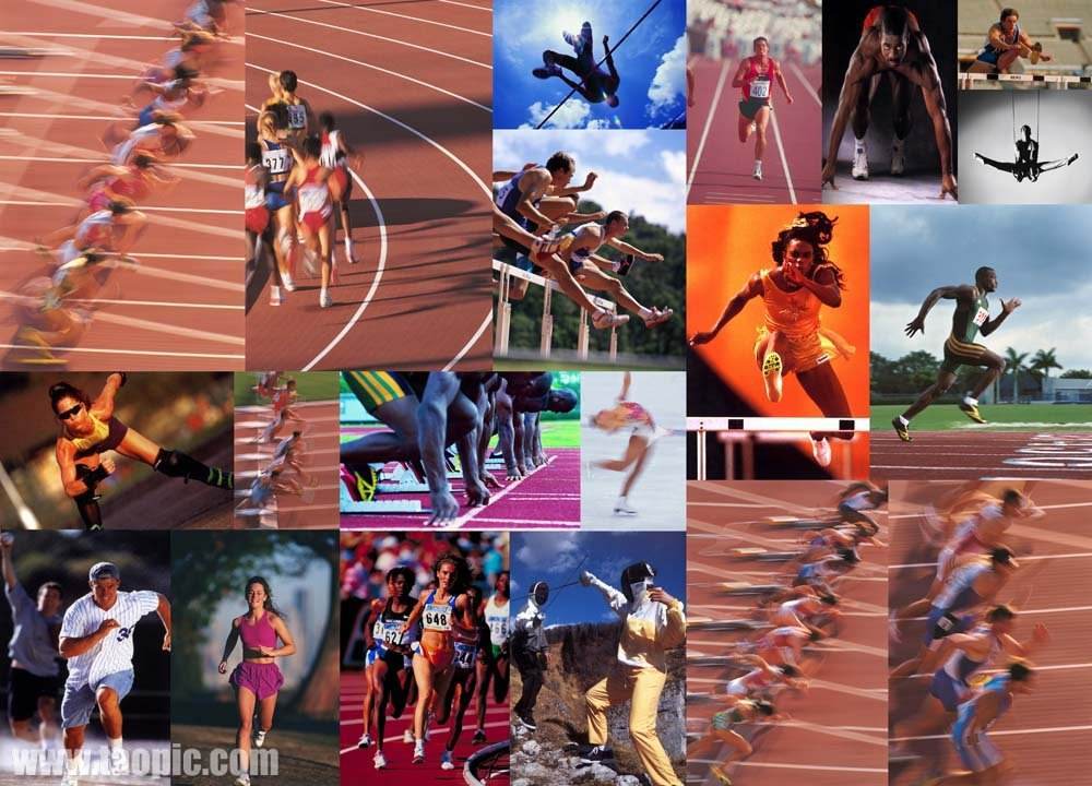 然鲜少能挑 然鲜少能挑