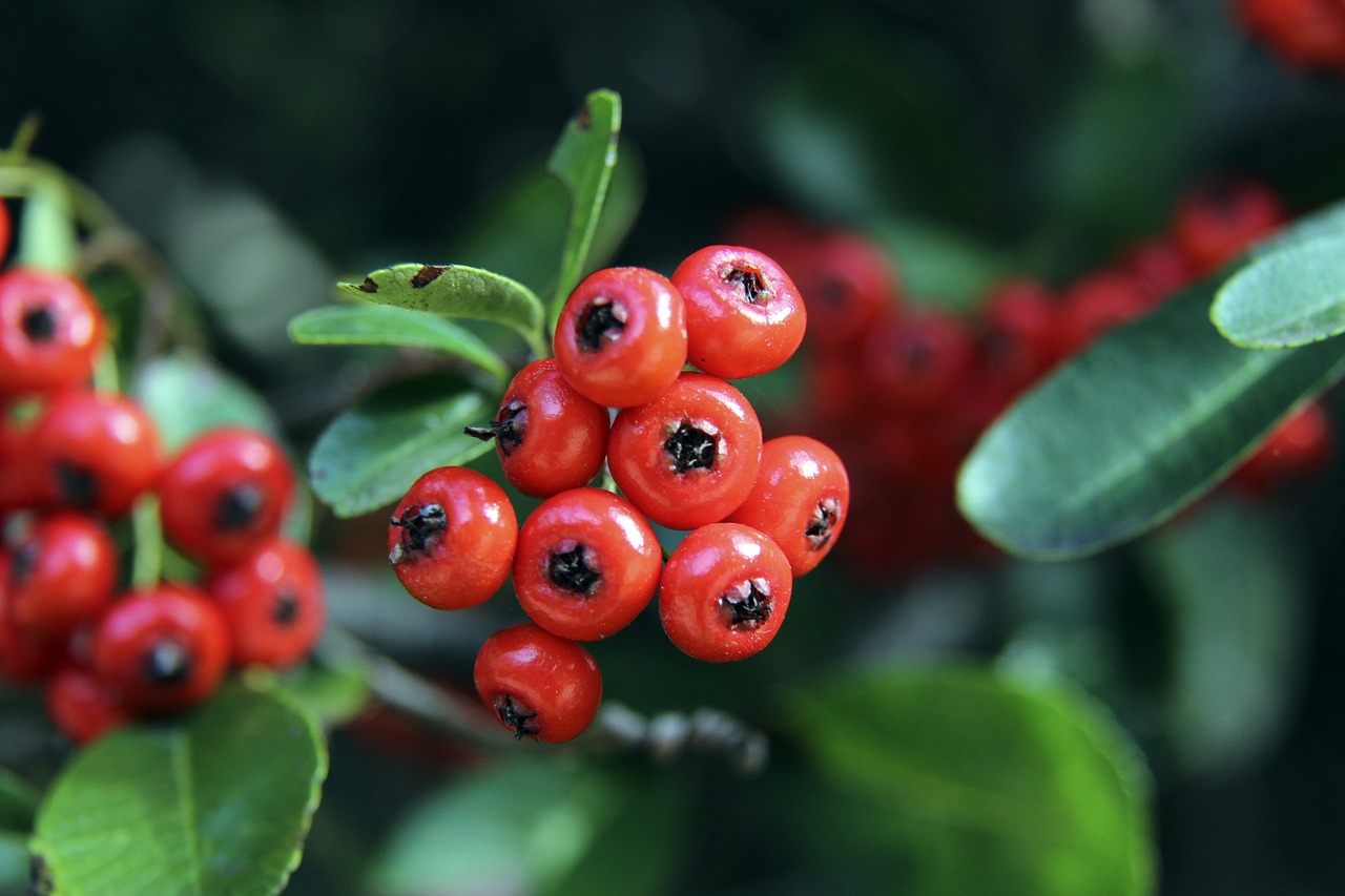 鲍威尔越位 鲍威尔越位