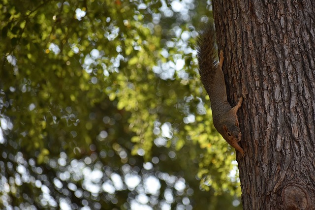 疑将上演极 疑将上演极