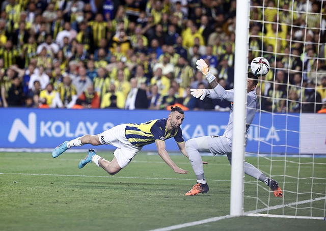 程与亮点 程与亮点