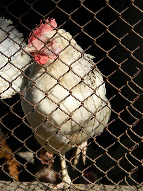 这包括准确 这包括准确