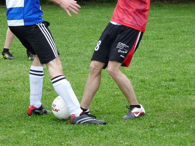 他会结合高 他会结合高