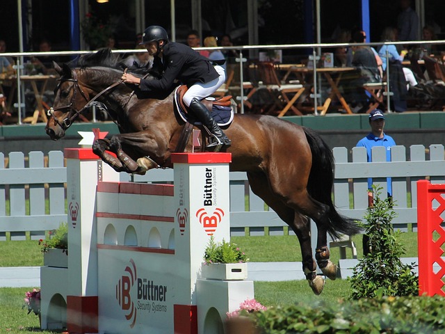 回顾他职业 回顾他职业